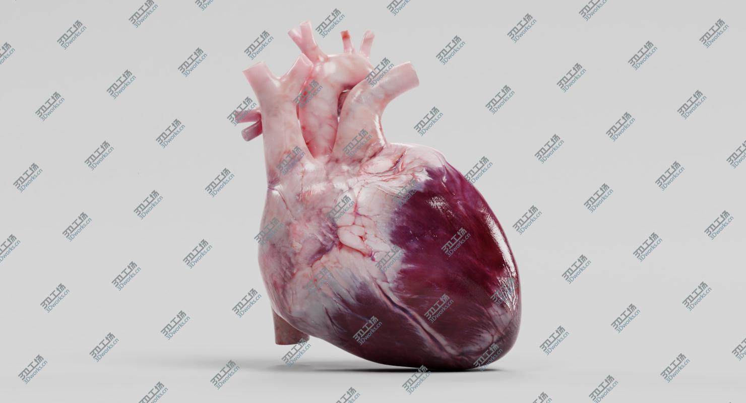 images/goods_img/202105072/3D Human Heart model/2.jpg